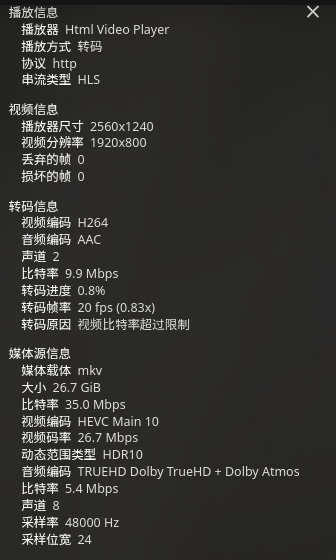 2025-07-23 jellyfin transcoding info.png